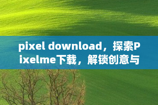 pixel download,探索Pixelme下载,解锁创意与互动的无限可能 pixel download,探索Pixelme下载,解锁创意与互动的无限可能