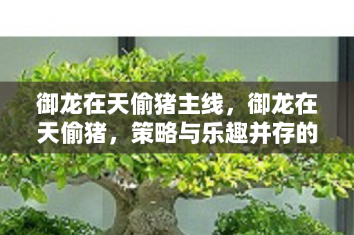御龙在天偷猪主线,御龙在天偷猪,策略与乐趣并存的经典玩法 御龙在天偷猪主线,御龙在天偷猪,策略与乐趣并存的经典玩法