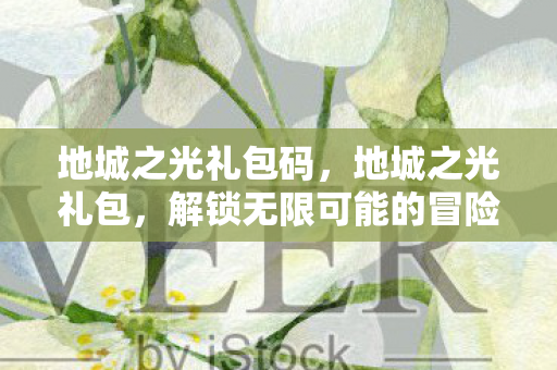 地城之光礼包码，地城之光礼包，解锁无限可能的冒险之旅
