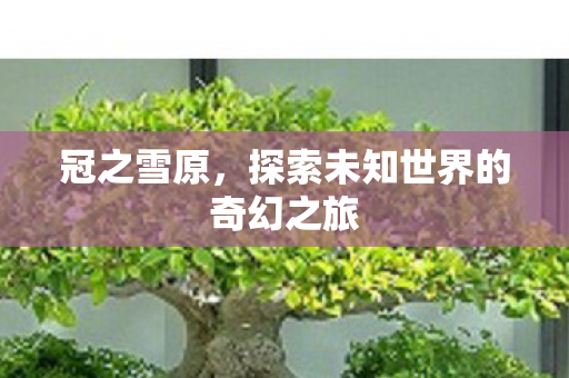 冠之雪原,探索未知世界的奇幻之旅 冠之雪原,探索未知世界的奇幻之旅