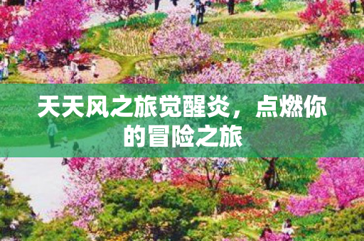天天风之旅觉醒炎,点燃你的冒险之旅 天天风之旅觉醒炎,点燃你的冒险之旅