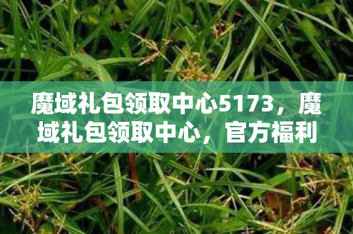 魔域礼包领取中心5173图片