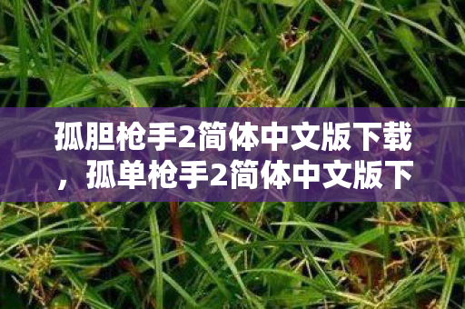 孤胆枪手2简体中文版下载,孤单枪手2简体中文版下载指南 孤胆枪手2简体中文版下载,孤单枪手2简体中文版下载指南