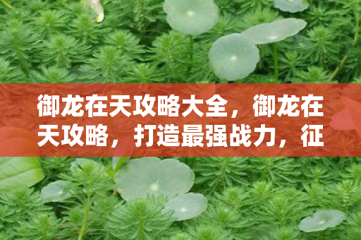 御龙在天攻略大全,御龙在天攻略,打造最强战力,征服九州! 御龙在天攻略大全,御龙在天攻略,打造最强战力,征服九州!