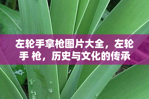 左轮手拿枪图片大全,左轮手 枪,历史与文化的传承 左轮手拿枪图片大全,左轮手 枪,历史与文化的传承