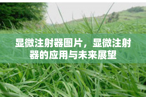 显微注射器图片，显微注射器的应用与未来展望