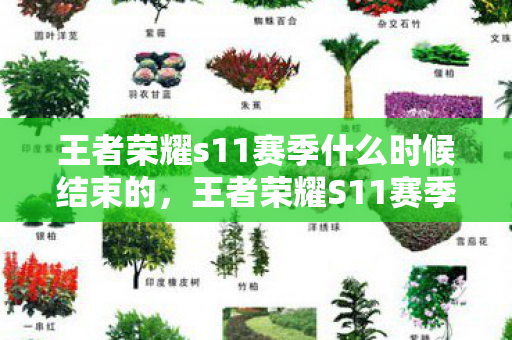 王者荣耀s11赛季什么时候结束的，王者荣耀S11赛季结束时间详解