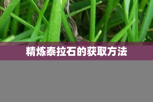 精炼泰拉石的获取方法 精炼泰拉石的获取方法
