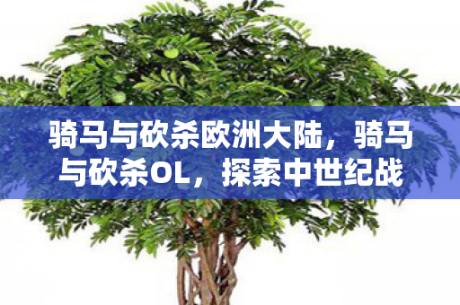 骑马与砍杀欧洲大陆,骑马与砍杀OL,探索中世纪战场的无尽魅力 骑马与砍杀欧洲大陆,骑马与砍杀OL,探索中世纪战场的无尽魅力