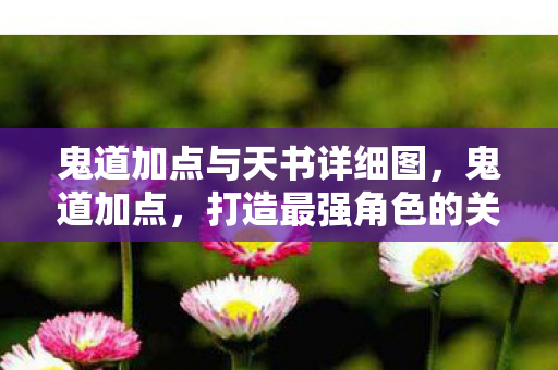 鬼道加点与天书详细图,鬼道加点,打造最强角色的关键策略 鬼道加点与天书详细图,鬼道加点,打造最强角色的关键策略