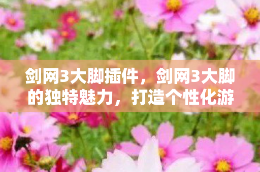 剑网3大脚插件,剑网3大脚的独特魅力,打造个性化游戏体验 剑网3大脚插件,剑网3大脚的独特魅力,打造个性化游戏体验