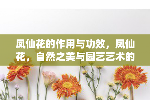 凤仙花的作用与功效,凤仙花,自然之美与园艺艺术的完美结合 凤仙花的作用与功效,凤仙花,自然之美与园艺艺术的完美结合