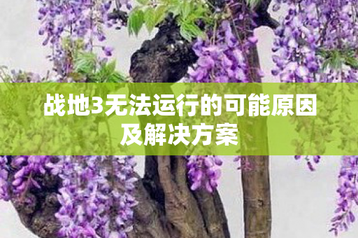 战地3无法运行的可能原因及解决方案 战地3无法运行的可能原因及解决方案