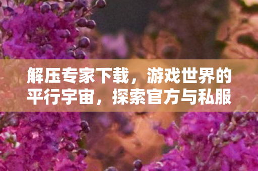 解压专家下载,游戏世界的平行宇宙,探索官方与私服的独特魅力 解压专家下载,游戏世界的平行宇宙,探索官方与私服的独特魅力