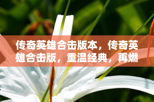 传奇英雄合击版本,传奇英雄合击版,重温经典,再燃战火 传奇英雄合击版本,传奇英雄合击版,重温经典,再燃战火