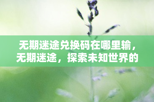 无期迷途兑换码在哪里输，无期迷途，探索未知世界的神秘兑换码