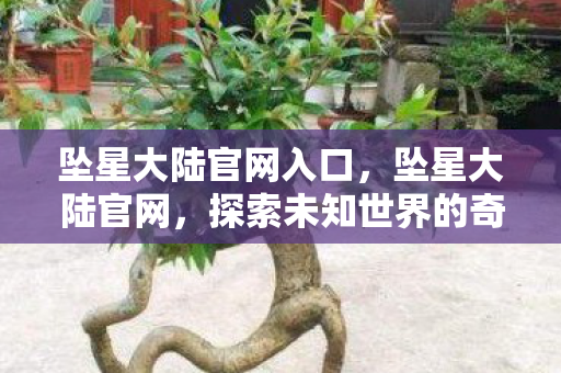 坠星大陆官网入口,坠星大陆官网,探索未知世界的奇幻之旅 坠星大陆官网入口,坠星大陆官网,探索未知世界的奇幻之旅