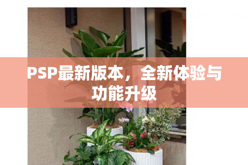 PSP最新版本，全新体验与功能升级
