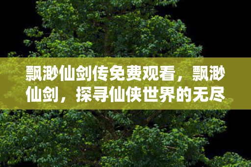 飘渺仙剑传免费观看，飘渺仙剑，探寻仙侠世界的无尽魅力