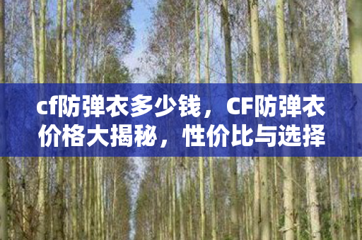 cf防弹衣多少钱，CF防弹衣价格大揭秘，性价比与选择的艺术