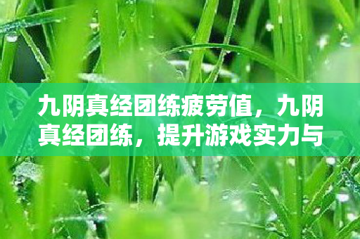 九阴真经团练疲劳值,九阴真经团练,提升游戏实力与社交互动的绝佳途径 九阴真经团练疲劳值,九阴真经团练,提升游戏实力与社交互动的绝佳途径
