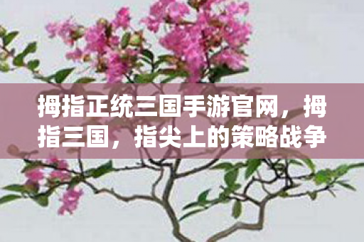 拇指正统三国手游官网，拇指三国，指尖上的策略战争