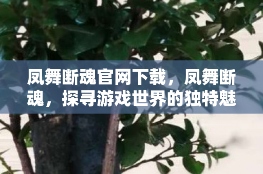 凤舞断魂官网下载,凤舞断魂,探寻游戏世界的独特魅力 凤舞断魂官网下载,凤舞断魂,探寻游戏世界的独特魅力
