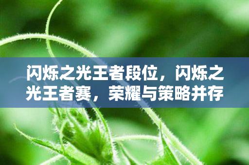 闪烁之光王者段位，闪烁之光王者赛，荣耀与策略并存的电竞盛宴