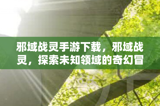 邪域战灵手游下载，邪域战灵，探索未知领域的奇幻冒险
