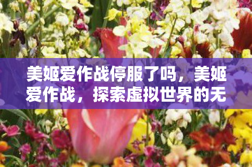 美姬爱作战停服了吗，美姬爱作战，探索虚拟世界的无限可能