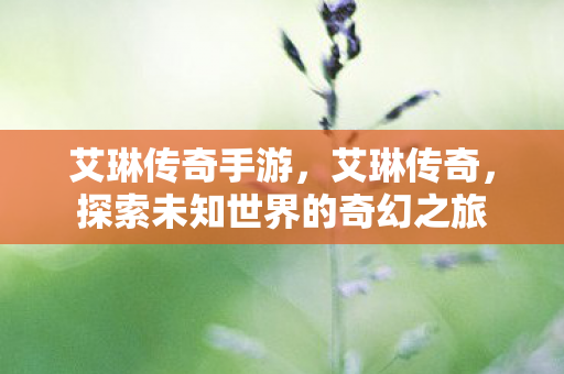 艾琳传奇手游，艾琳传奇，探索未知世界的奇幻之旅