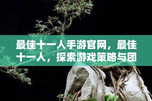最佳十一人手游官网,最佳十一人,探索游戏策略与团队精神的极致 最佳十一人手游官网,最佳十一人,探索游戏策略与团队精神的极致