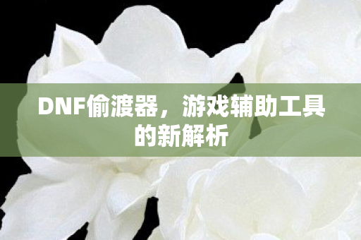 DNF偷渡器,游戏辅助工具的新解析 DNF偷渡器,游戏辅助工具的新解析