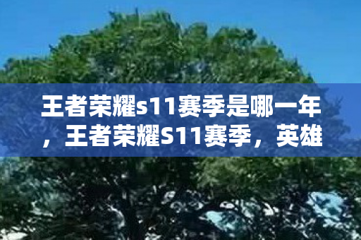 王者荣耀s11赛季是哪一年,王者荣耀S11赛季,英雄调整与战术革新 王者荣耀s11赛季是哪一年,王者荣耀S11赛季,英雄调整与战术革新
