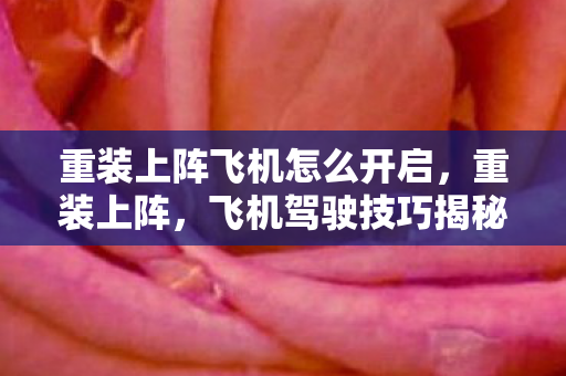 重装上阵飞机怎么开启,重装上阵,飞机驾驶技巧揭秘 重装上阵飞机怎么开启,重装上阵,飞机驾驶技巧揭秘