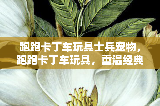 跑跑卡丁车玩具士兵宠物,跑跑卡丁车玩具,重温经典,玩具中的速度与激情 跑跑卡丁车玩具士兵宠物,跑跑卡丁车玩具,重温经典,玩具中的速度与激情