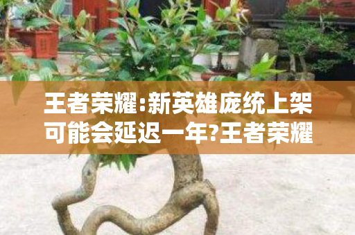 王者荣耀:新英雄庞统上架可能会延迟一年?王者荣耀庞统上线时间预测