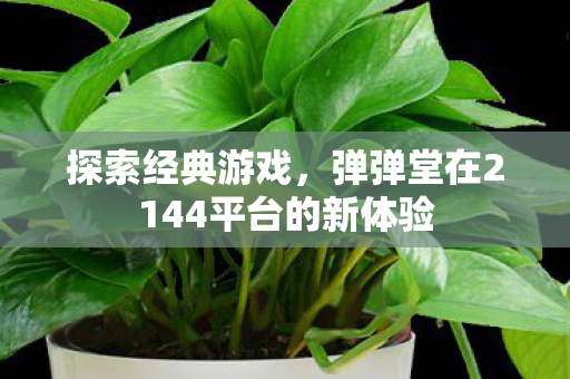探索经典游戏,弹弹堂在2144平台的新体验 探索经典游戏,弹弹堂在2144平台的新体验