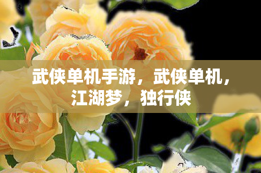 武侠单机手游,武侠单机,江湖梦,独行侠 武侠单机手游,武侠单机,江湖梦,独行侠