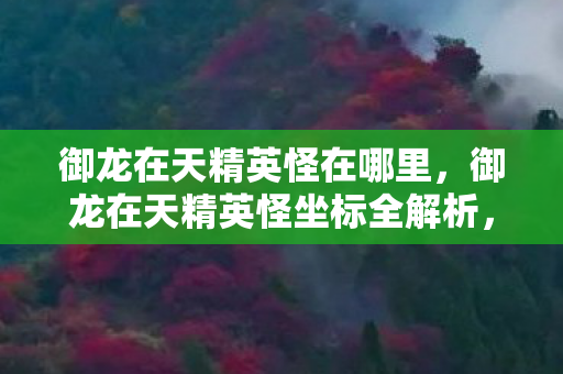 御龙在天精英怪在哪里,御龙在天精英怪坐标全解析,挑战与机遇并存 御龙在天精英怪在哪里,御龙在天精英怪坐标全解析,挑战与机遇并存