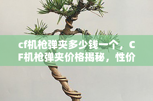 cf机枪弹夹多少钱一个,CF机枪弹夹价格揭秘,性价比与官方渠道的考量 cf机枪弹夹多少钱一个,CF机枪弹夹价格揭秘,性价比与官方渠道的考量