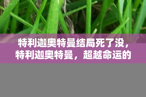 特利迦奥特曼结局死了没,特利迦奥特曼,超越命运的羁绊 特利迦奥特曼结局死了没,特利迦奥特曼,超越命运的羁绊