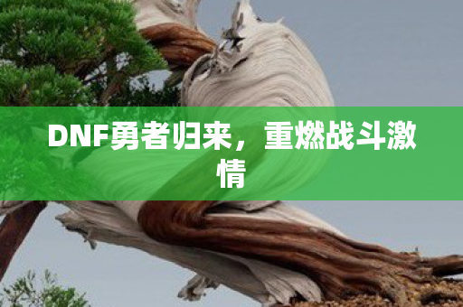 DNF勇者归来，重燃战斗激情