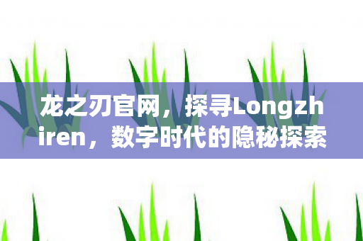 龙之刃官网,探寻Longzhiren,数字时代的隐秘探索者 龙之刃官网,探寻Longzhiren,数字时代的隐秘探索者