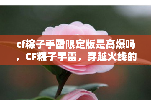 cf粽子手雷限定版是高爆吗,CF粽子手雷,穿越火线的独特文化符号 cf粽子手雷限定版是高爆吗,CF粽子手雷,穿越火线的独特文化符号