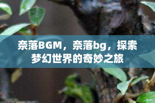 奈落BGM,奈落bg,探索梦幻世界的奇妙之旅 奈落BGM,奈落bg,探索梦幻世界的奇妙之旅