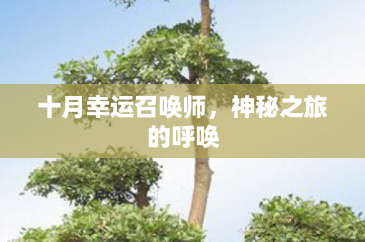 十月幸运召唤师,神秘之旅的呼唤 十月幸运召唤师,神秘之旅的呼唤