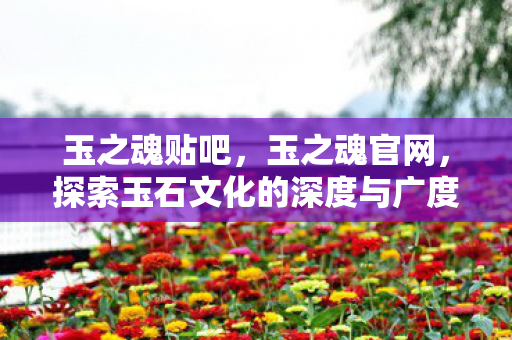 玉之魂贴吧,玉之魂官网,探索玉石文化的深度与广度 玉之魂贴吧,玉之魂官网,探索玉石文化的深度与广度