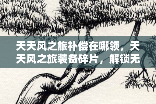 天天风之旅补偿在哪领,天天风之旅装备碎片,解锁无限可能的冒险之旅 天天风之旅补偿在哪领,天天风之旅装备碎片,解锁无限可能的冒险之旅