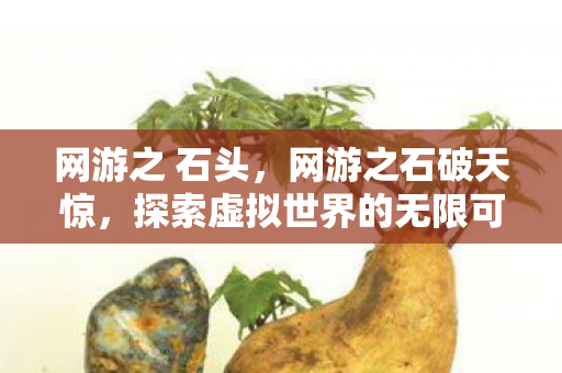 网游之 石头，网游之石破天惊，探索虚拟世界的无限可能
